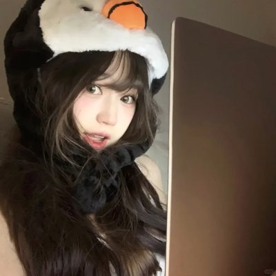 飞鸟历险记